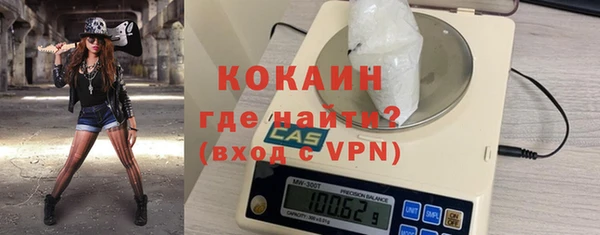 прущие грибы Балабаново