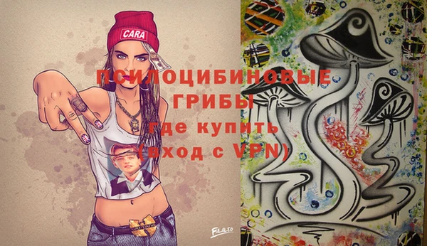прущие грибы Балабаново
