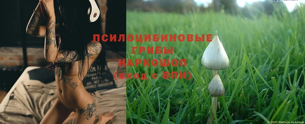 прущие грибы Балабаново