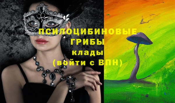 крисы Балахна