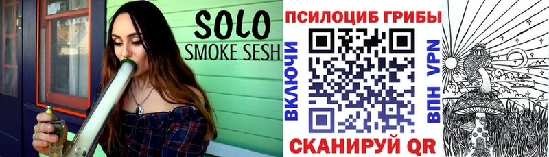 Псилоцибиновые грибы Psilocybe Нижний Ломов